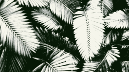 Cuchillos Restaurant Hannover